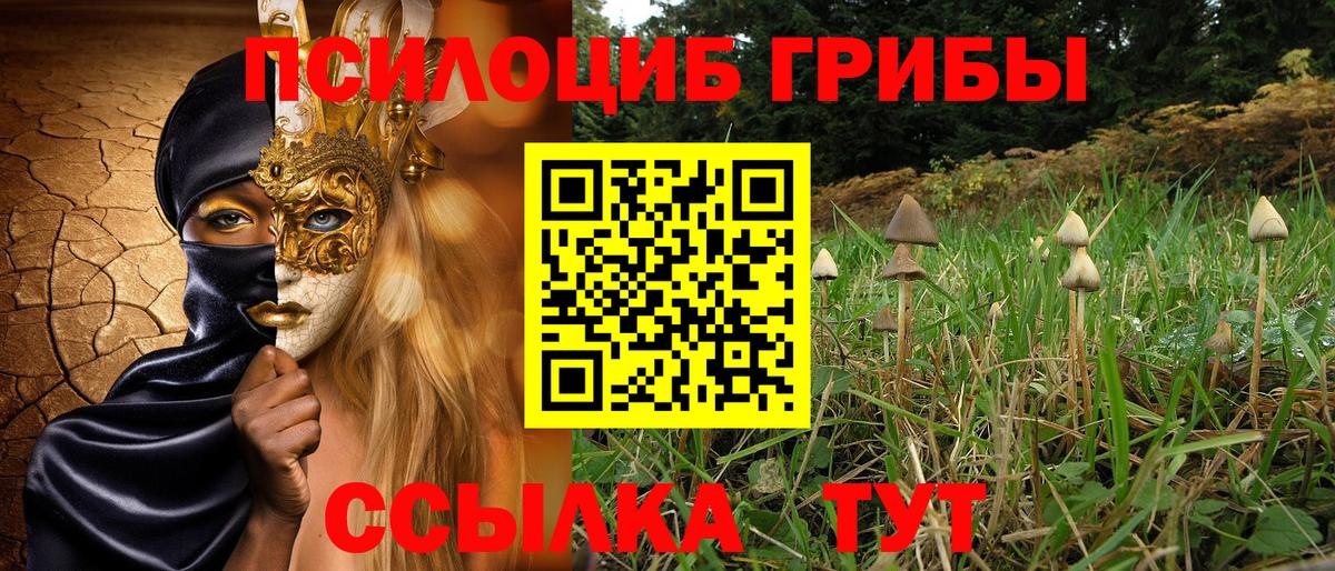 Галлюциногенные грибы Psilocybe Советск